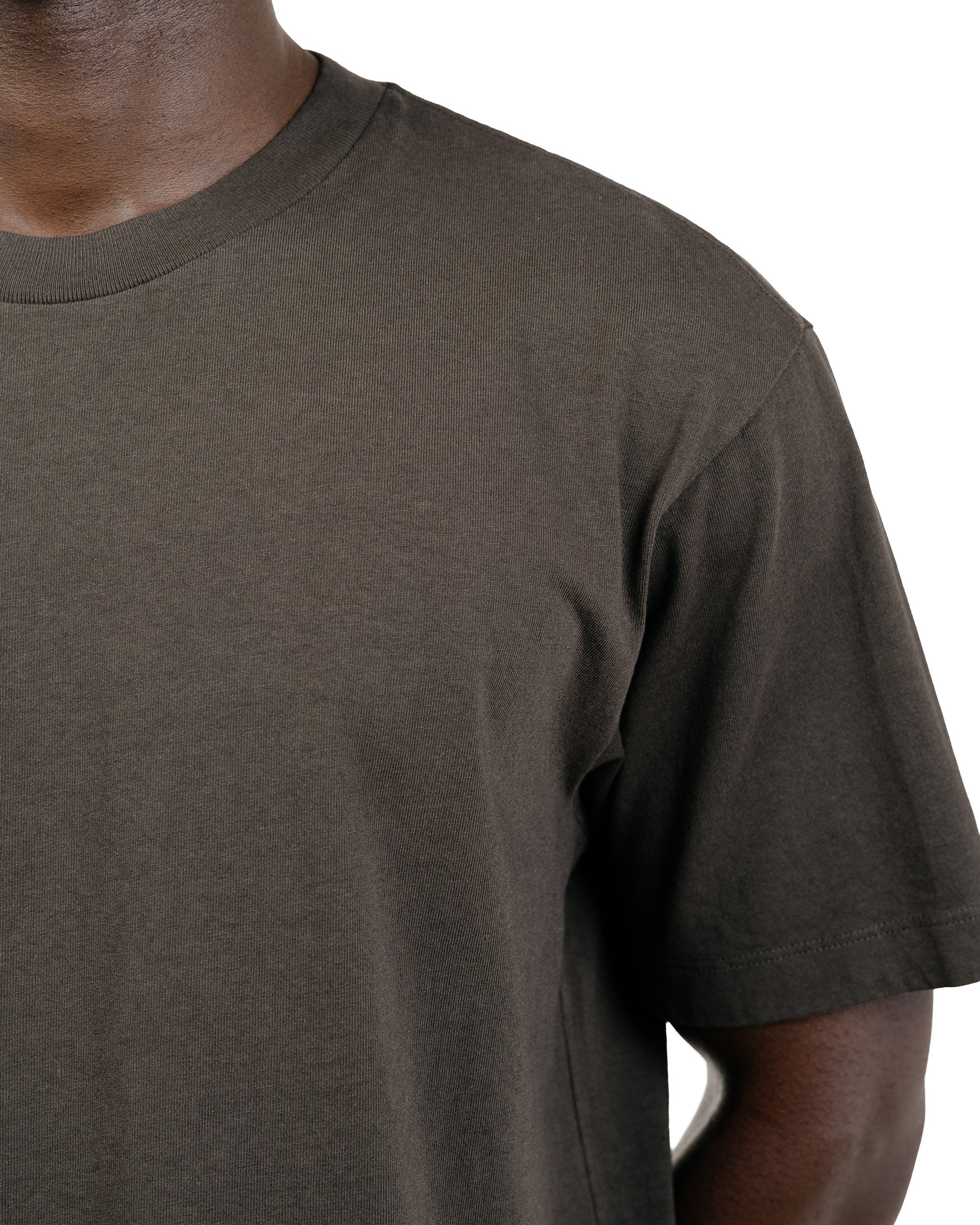Lady White Co. Municipal T-Shirt Flint - Image 3