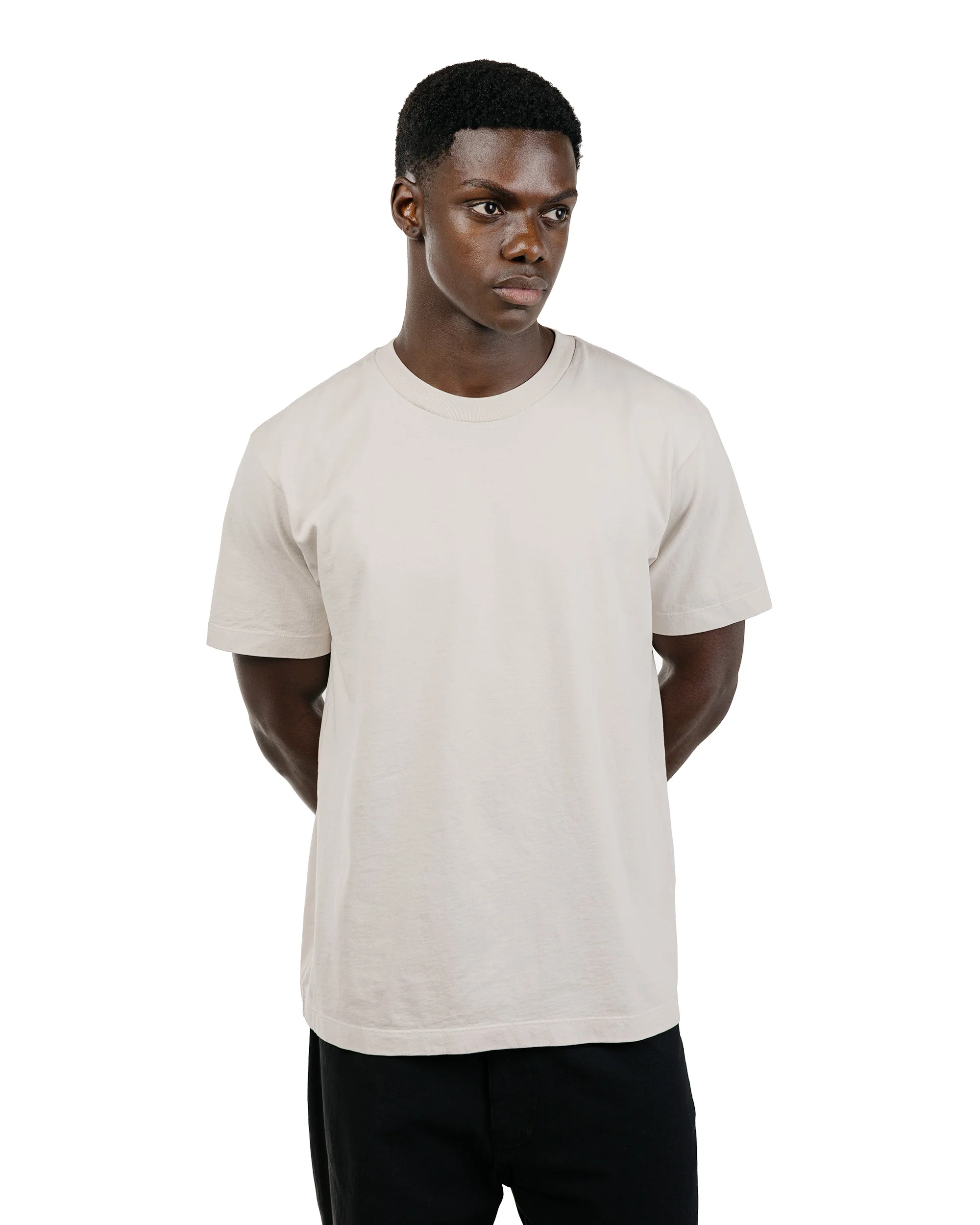 Lady White Co. Municipal T-Shirt Solar Grey - Image 2
