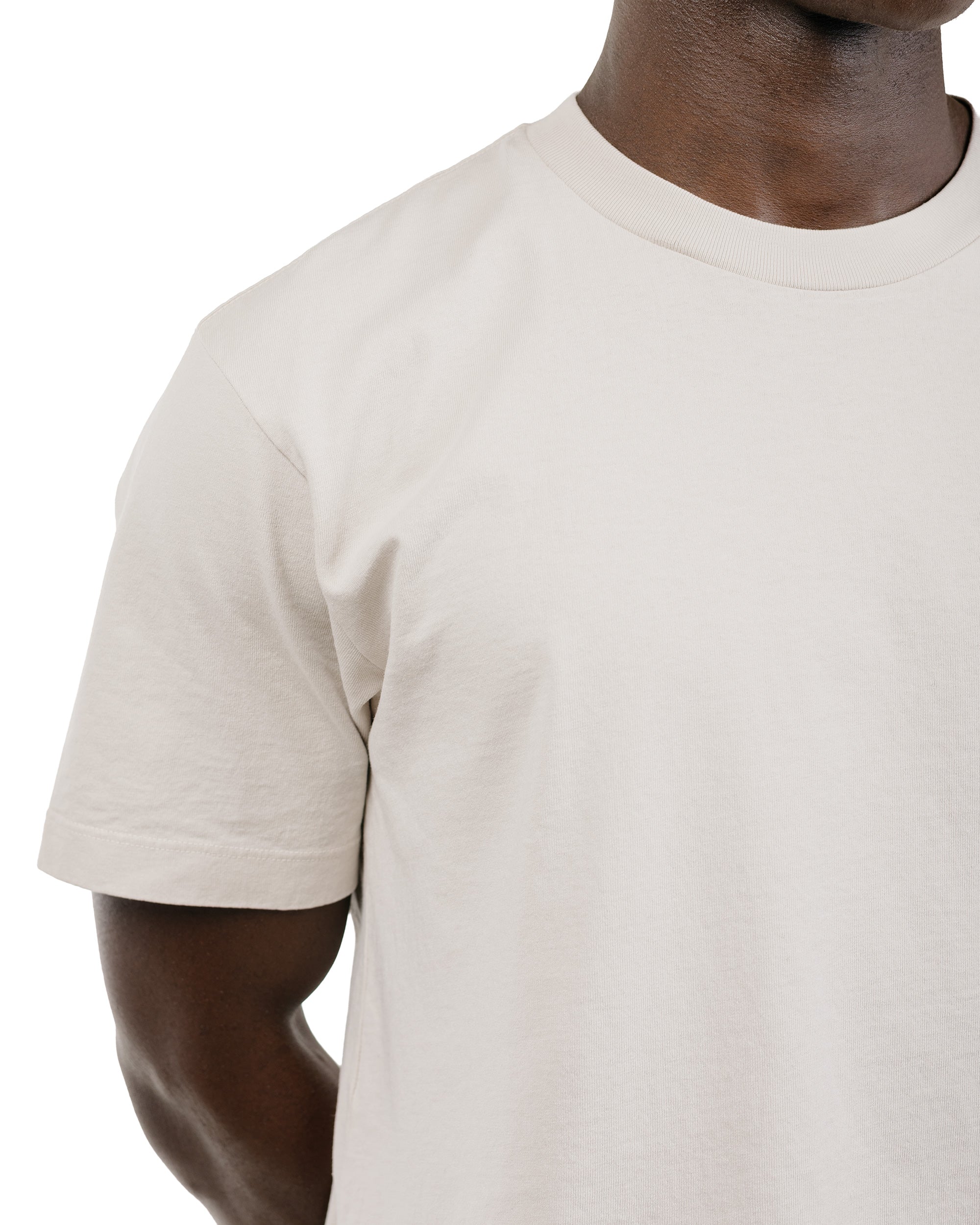 Lady White Co. Municipal T-Shirt Solar Grey - Image 3